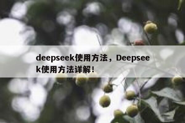 deepseek使用方法，Deepseek使用方法详解！ 第1张